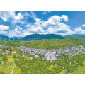 枝叶总关情 初心暖山乡(赓续长征精神 奋进复兴征程)