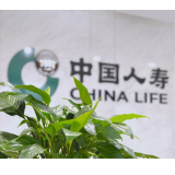 中国人寿：专业，与时俱进的迭变