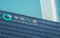 百元保费、近10万元赔付：中国人寿学平险理赔报告里的守护力量