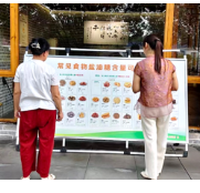 减盐减油不减湘味 让红色故里烟火气更有“健康味”
