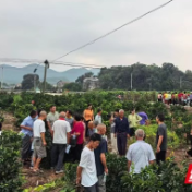 慈利县杨柳铺乡杨溪社区：党群阵地聚农技 田间课堂护橘园