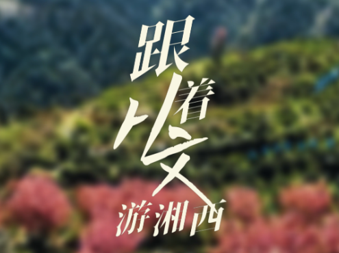 《跟着从文游湘西》第七集 ：别有一种芬馥