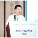茶产业“十五五”怎么走?国家茶叶产业技术体系首席科学家王新超长沙把脉