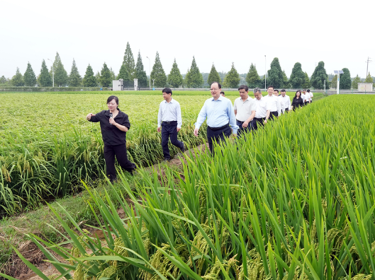 毛伟明赴省农科院调研