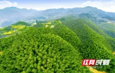 苗乡绘绿卷 青山启新程——城步苗族自治县林业高质量发展纪实