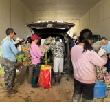 祁阳:党建执笔绘“四色” 农文旅融合兴城郊