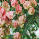 图集｜衡阳：一路生花 秋色如画