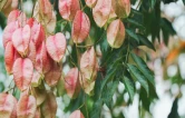 图集｜衡阳：一路生花 秋色如画