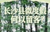 视频｜长沙县“微度假”何以留客？