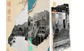 镜界·新晃70年①丨一帧旧影忆流年 触摸新晃烟火农耕史