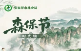 森保节特辑丨一图读懂森保节