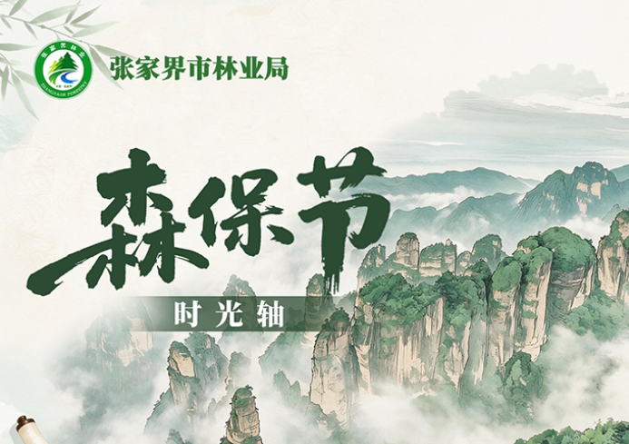 森保节特辑丨一图读懂森保节