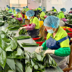 小小粽叶闯出新赛道!张家界粽健康融合产业园开工建设