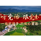 朱丽柔：一栋红房子，三句心里话