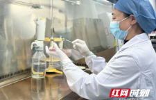 湘雅三医院专家帮扶实效 医技协同确诊隐匿性淋病