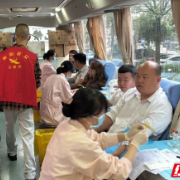 党员干部带头献血！雁峰区开展无偿献血公益活动