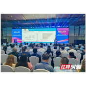 共商国际产能合作新机遇,2026“湘企出海”投资合作对接会举行