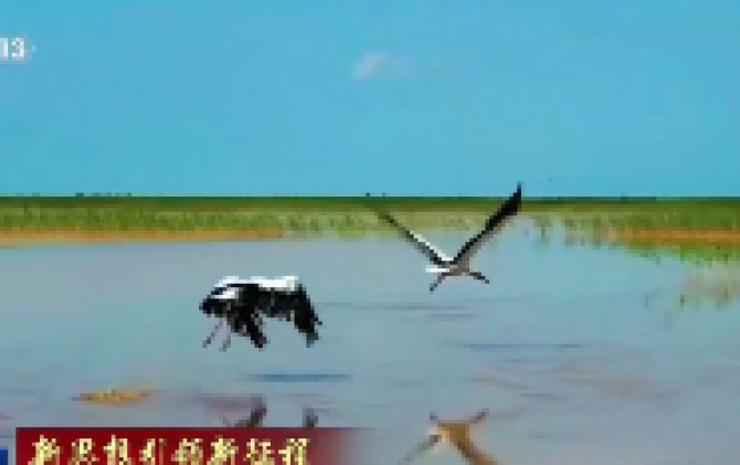 新思想引领新征程丨大河润华夏