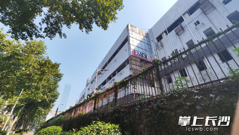 拆除中的曙光798。