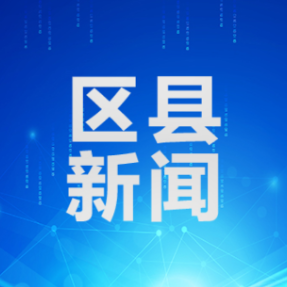 南岳区扎实开展城乡居民养老保险政策下乡宣传