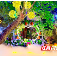 13亩“边角料”逆袭!“治理死角”变身网红庭院