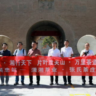 片叶度关山 万里茶路中国行走进宁夏吴忠