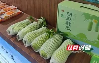 湖南27个农产品入选2026年第二批全国名特优新农产品名录