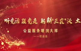阳崇迪：躬耕“三农”沃土 公益服务暖润大祥