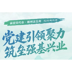 喜迎党代会·郴州这五年 | 党建引领聚力 筑垒强基兴业