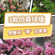 1分钟淘家丨朋友都以为是真的!3款仿真绿植,把春天“焊”在家里!