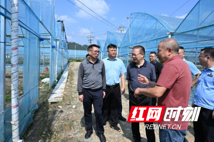 紧盯问题整改 守护生态底色