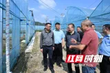 紧盯问题整改 守护生态底色
