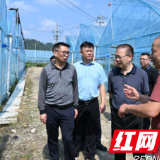 紧盯问题整改 守护生态底色