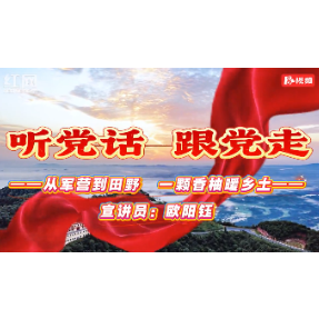 欧阳钰:从军营到田野 一颗香柚暖乡土