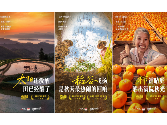四季躬耕，礼赞丰收 | “寻找最美田野肖像照”丰收节特辑