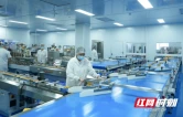 湖南洞口：桔香慰乡愁 雪峰蜜桔月饼解锁团圆新滋味