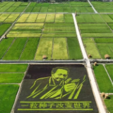 好评中国丨以“专门法”护耕地,让粮食安全有根基