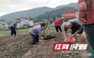 积分菜园添新绿 汝城县下杨村冬种备菜忙