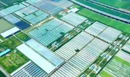 湖南七部门联合发力 进一步健全构建汛旱并防与耕地置换协同推进机制
