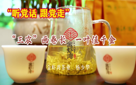 杨少华：“三农”画卷长  一叶值千金