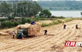 科技赋能 网格兜底 君山区构建秸秆禁烧闭环治理体系