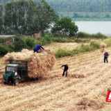 科技赋能 网格兜底 君山区构建秸秆禁烧闭环治理体系