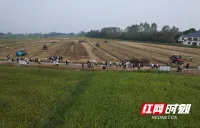 推进“四个转变”破局提质 
汉寿高新机具挖掘秸秆“绿色财富”