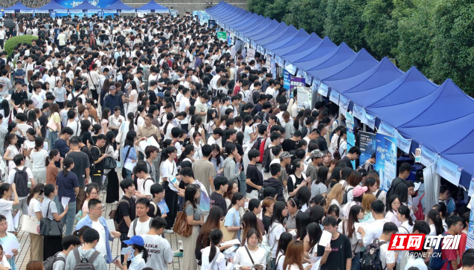 双选会1.png