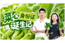视频 | 菜心“身份证”诞生记