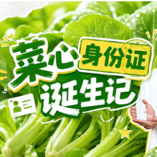 视频 | 菜心“身份证”诞生记