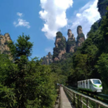 韩国残疾人代表团专程体验张家界无障碍文旅建设成果