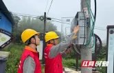 国网炎陵县供电公司暖心电力护航猕猴桃产业