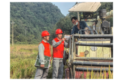 娄底：电力助力秋收 确保粮食满仓