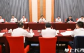 陈博彰参加望城区代表团和浏阳市代表团讨论